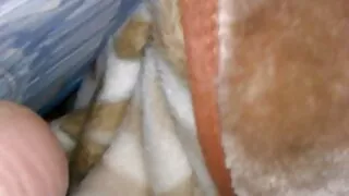 립 그 에 이 입 에 이 쎅스 포르노 이웃'의 정원