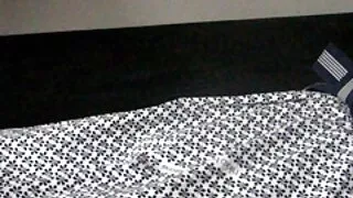 금발 좋다고 검은 닭 오일 마사지 섹스